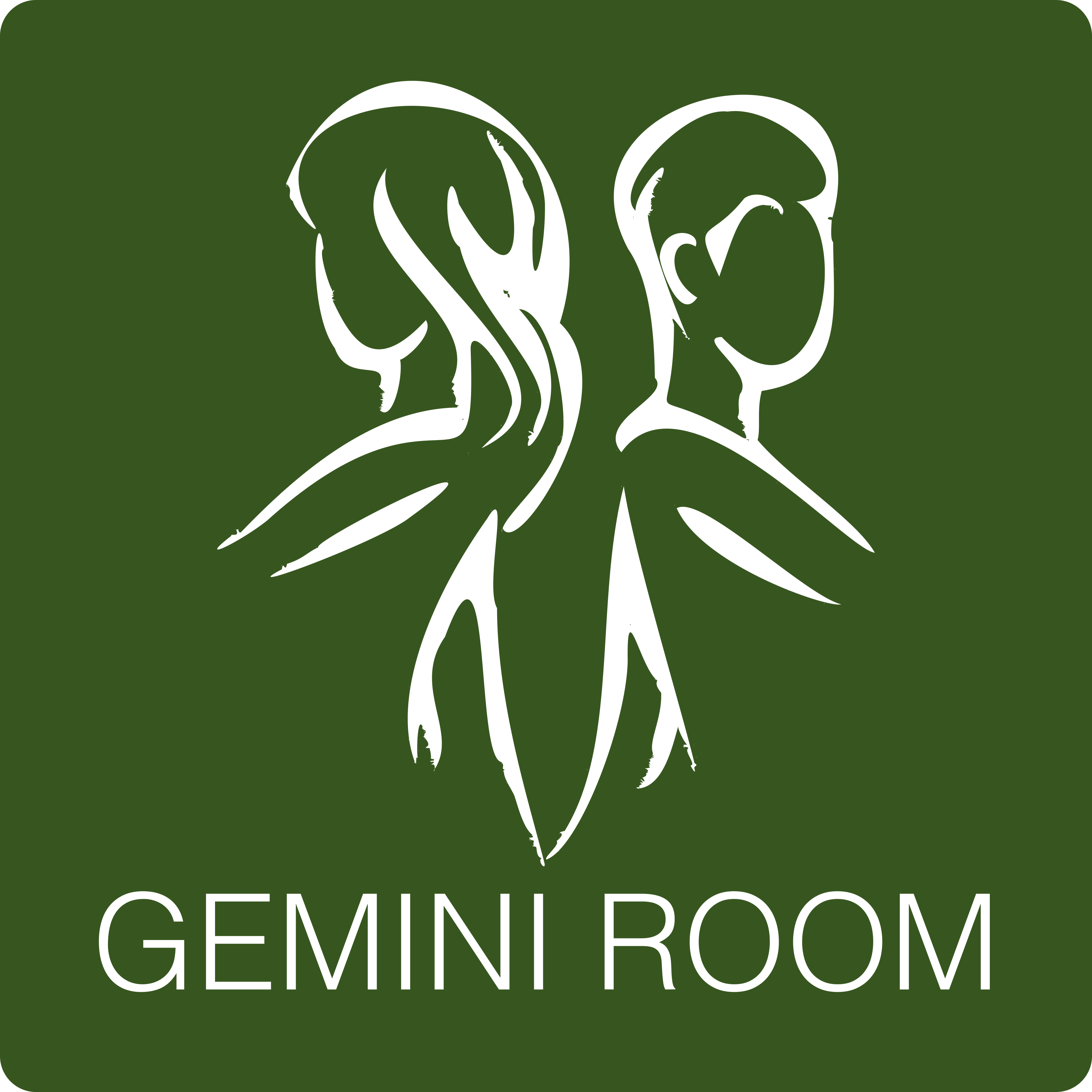 Gemini Room